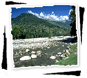 Manali